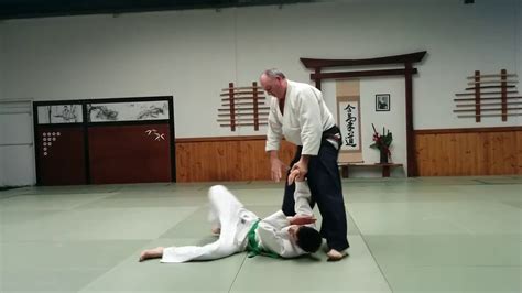 basic aikido techniques